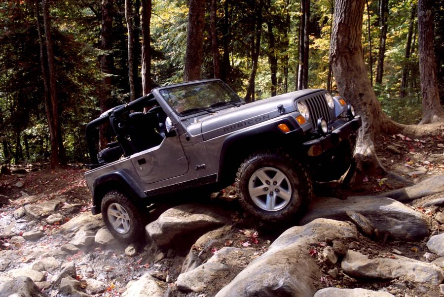  Jeep Wrangler Rubicon 2003 года  (фото 48 из 59)